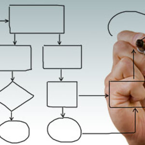 Organigrama y estructura orgánica