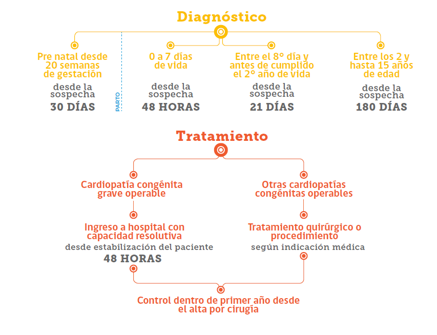 Plazos del problema