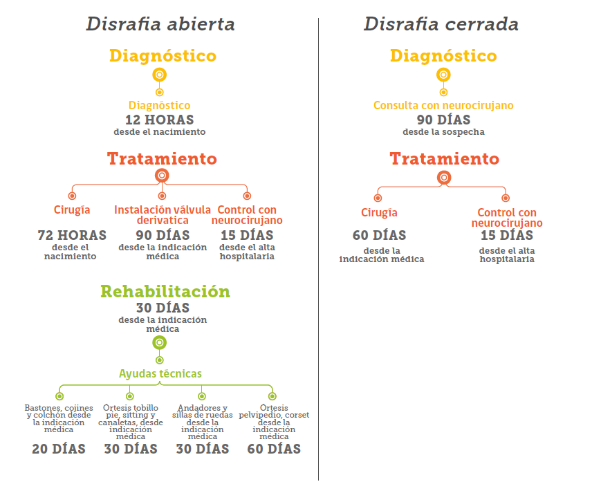 Plazos del problema