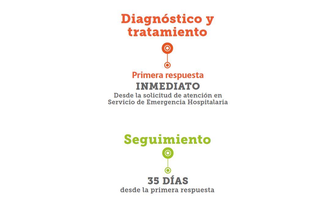 Plazos del problema