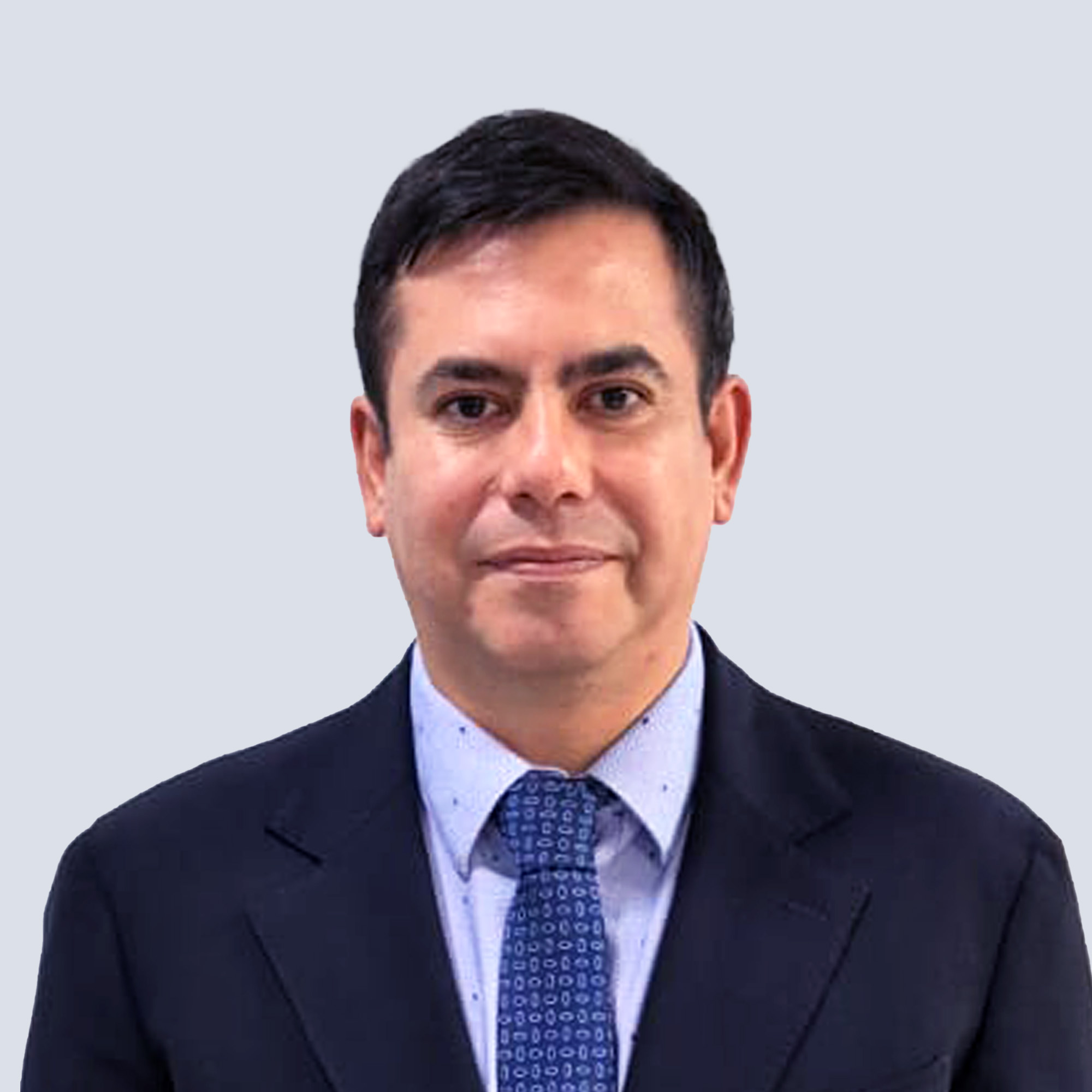 Patricio Fernández Pérez