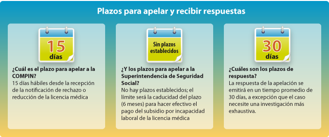 Plazos para apelar y recibir respuestas