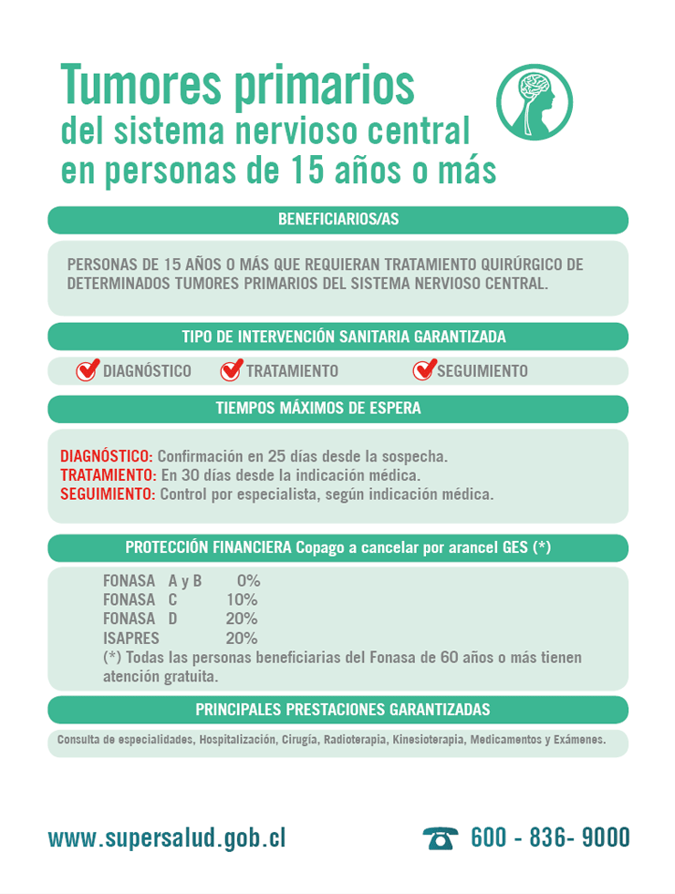 Tumores Primarios del Sistema Nervioso Central en personas de 15 años o más Tumores Primarios del Sistema Nervioso Central en personas de 15 años o más